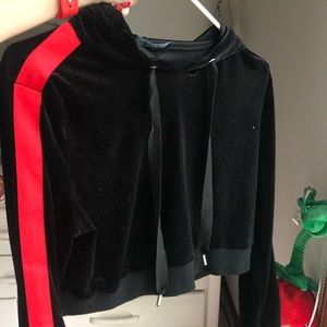 Akira Cropped Hoodie